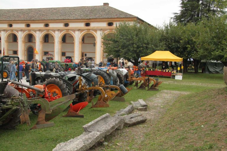 Esposizione prodotti enogastronomici e biologici