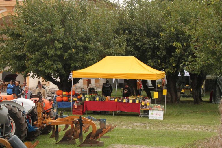 Esposizione prodotti enogastronomici e biologici