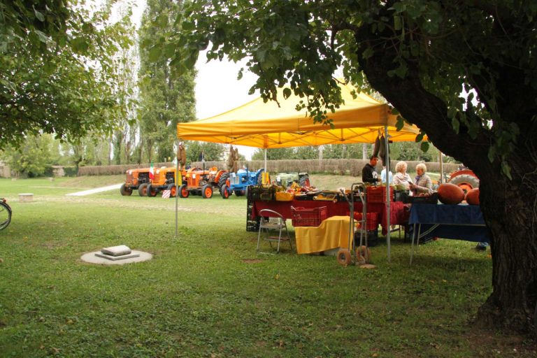 Esposizione prodotti enogastronomici e biologici