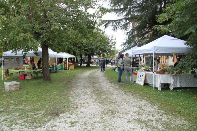 Esposizione prodotti enogastronomici e biologici