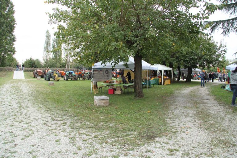 Esposizione prodotti enogastronomici e biologici