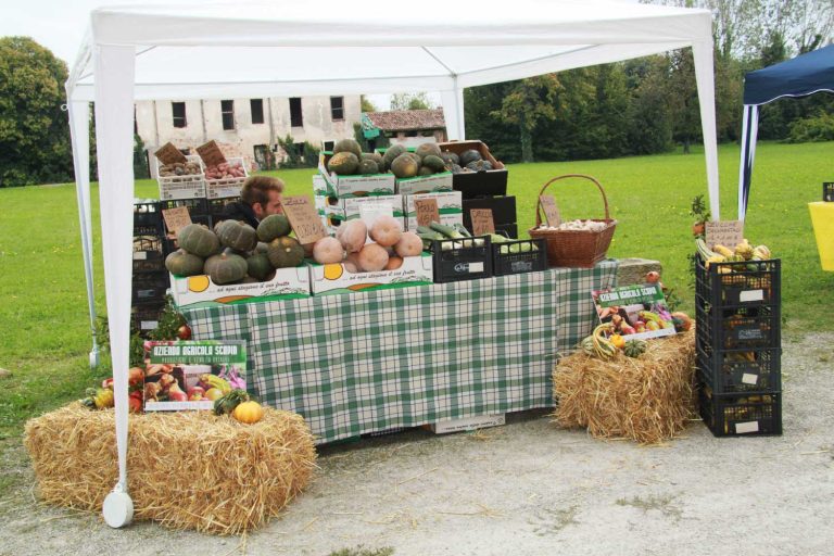 Esposizione prodotti enogastronomici e biologici