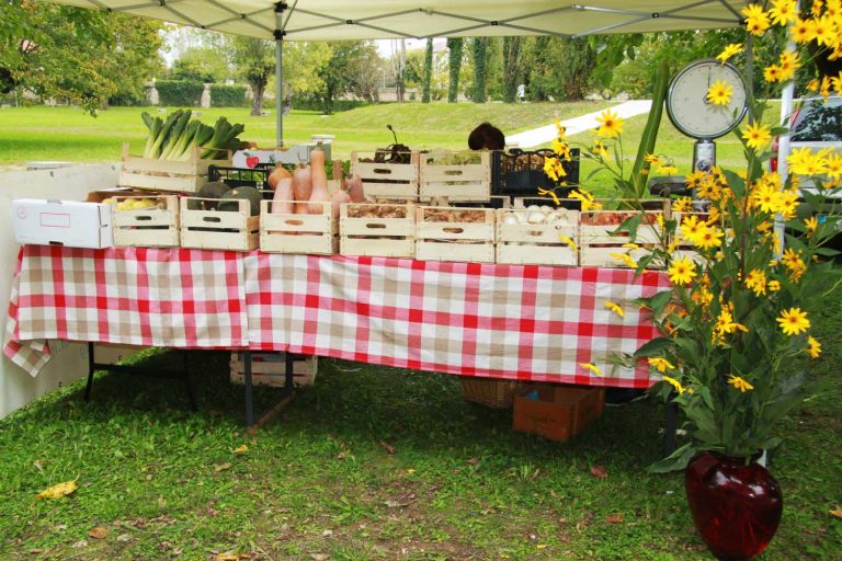 Esposizione prodotti enogastronomici e biologici