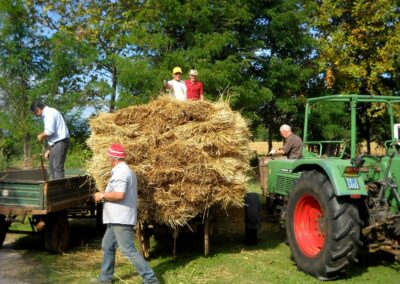 Organizzazione della Fiera di San Michele