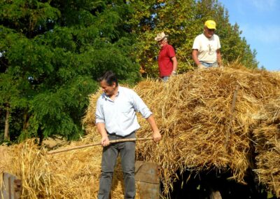 Organizzazione della Fiera di San Michele