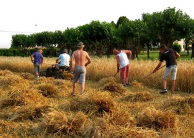 Organizzazione della Fiera di San Michele