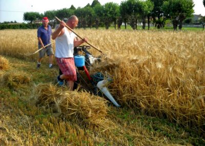Organizzazione della Fiera di San Michele