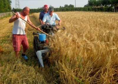 Organizzazione della Fiera di San Michele
