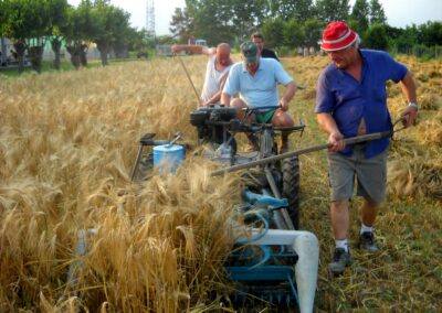 Organizzazione della Fiera di San Michele