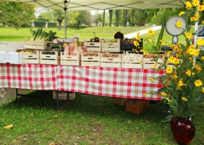 Esposizione prodotti enogastronomici e biologici