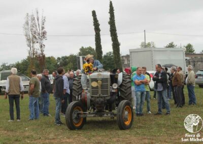 Esposizione trattori d'epoca
