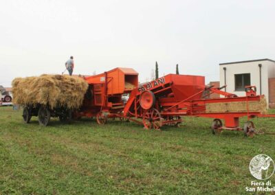 Trebbiatura con la storica macchina Fabiani