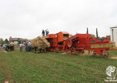Trebbiatura con la storica macchina Fabiani