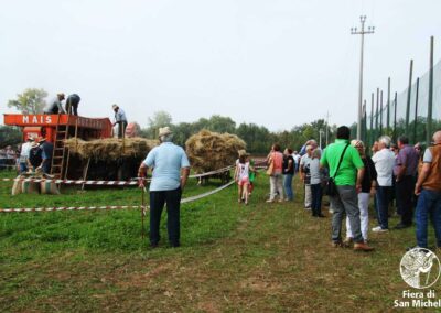 Trebbiatura con la storica macchina Fabiani