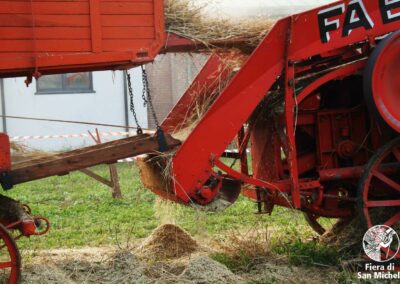 Trebbiatura con la storica macchina Fabiani