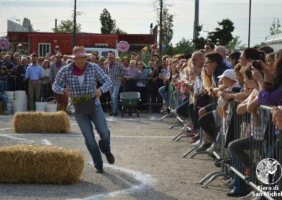 Fiera di San Michele a Barcon - Palio dell'Uva 2015