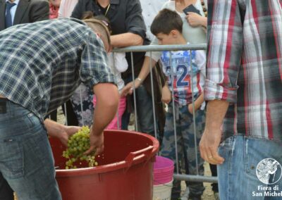 Fiera di San Michele a Barcon - Palio dell'Uva 2015