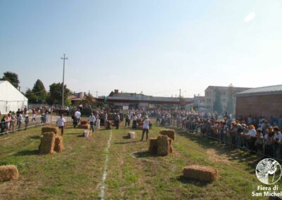 Fiera di San Michele a Barcon - Palio dell'Uva 2016