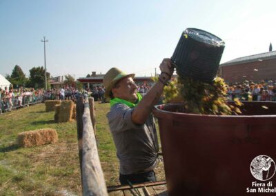 Fiera di San Michele a Barcon - Palio dell'Uva 2016