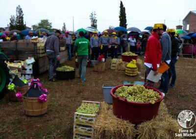 Fiera di San Michele a Barcon - Palio dell'Uva 2017