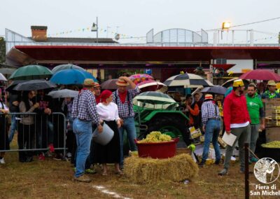 Fiera di San Michele a Barcon - Palio dell'Uva 2017