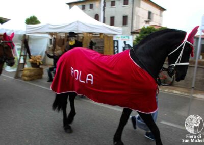 Fiera di San Michele a Barcon - Palio dell'Uva 2017