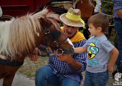 Fiera di San Michele a Barcon - Palio dell'Uva 2018