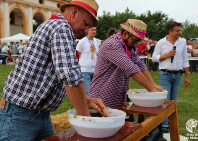 Fiera di San Michele a Barcon - Palio dell'Uva 2018