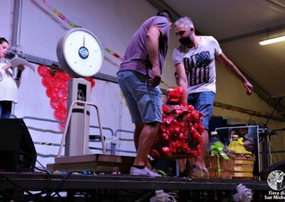Fiera di San Michele a Barcon - Palio dell'Uva 2018